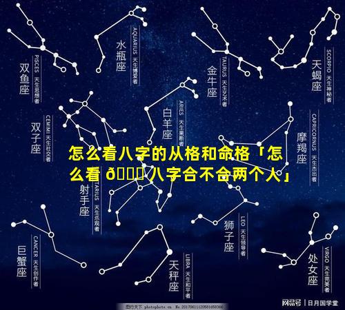 怎么看八字的从格和命格「怎么看 🐕 八字合不合两个人」
